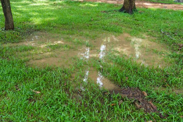 Cost of Storm Water Drainage Service in Kernersville