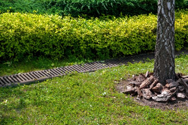 Cost of Residential Landscape Drainage in Kernersville